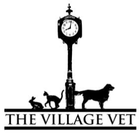 village vet of lewiston|lewiston animal hospital lewiston ny.